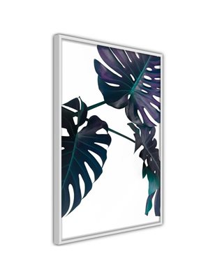 Poster  Evergreen Monstera